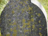 image of grave number 842563